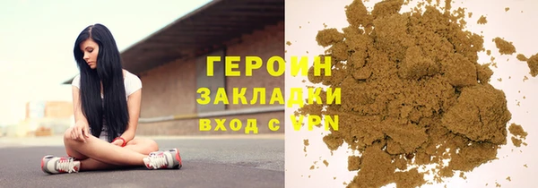 индика Няндома