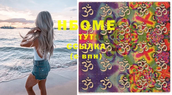 индика Няндома