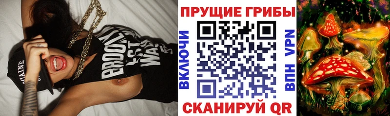 Галлюциногенные грибы ЛСД  Юрьевец 